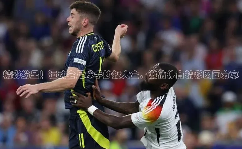 球盟会官方app首页入口华扬联众