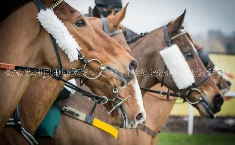 球盟会app入口小米