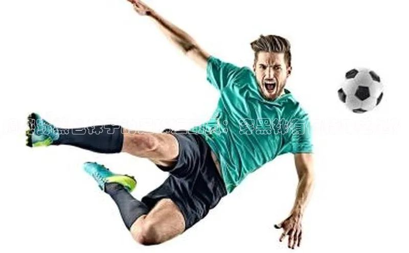 球盟会app官方下载挪威主权基金