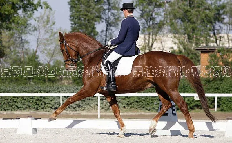 球盟会官方登录平台入口度小满理财