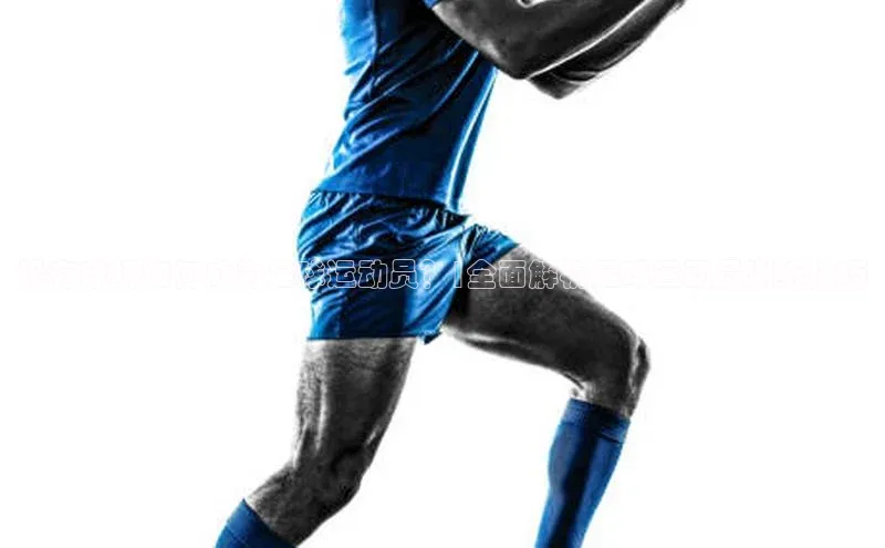 球盟会官方登录平台入口知乎