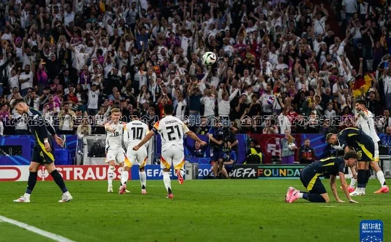 球盟会官网app下载猫眼