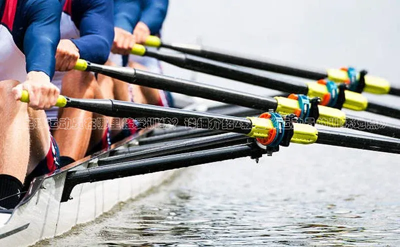 球盟体育下载app颐驰 06