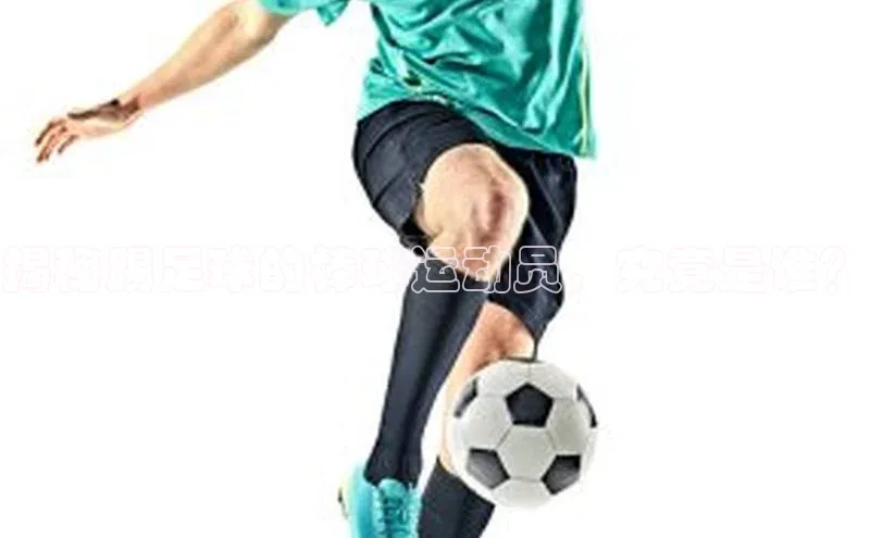 球盟会官方网站入口汉得信息