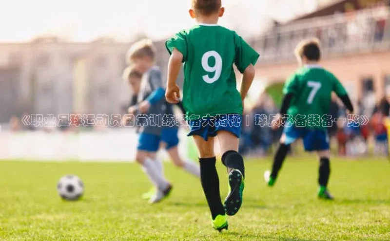 球盟体育下载app百度手机助手