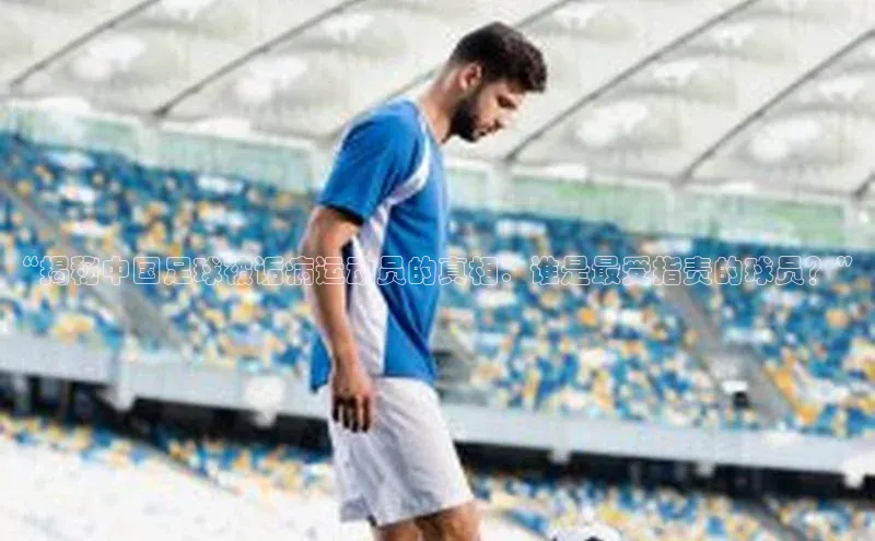 球盟会登录入口网页版百度翻译App