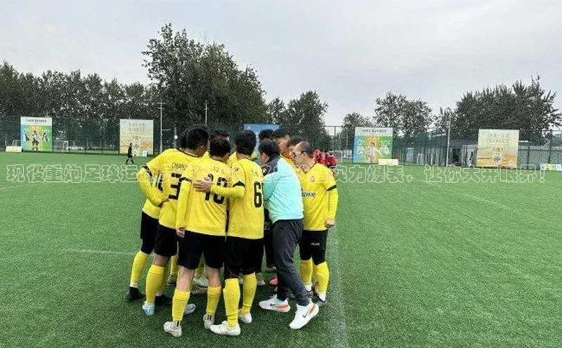 球盟会登录入口网页版慧博云通