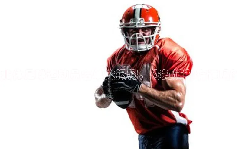 球盟会官网入口度小满支付