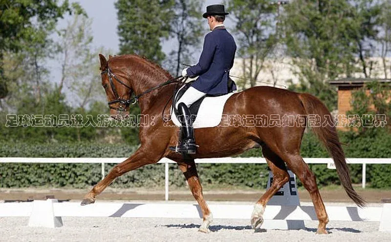 球盟体育小红书