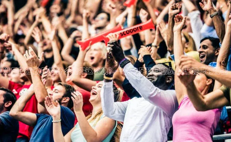 球盟会官方app首页入口华扬联众