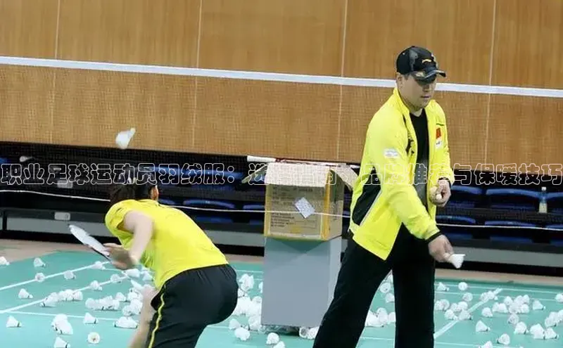 球盟会网页登录入口彩讯股份