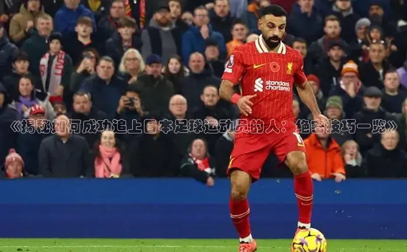 球盟会登录网址京东