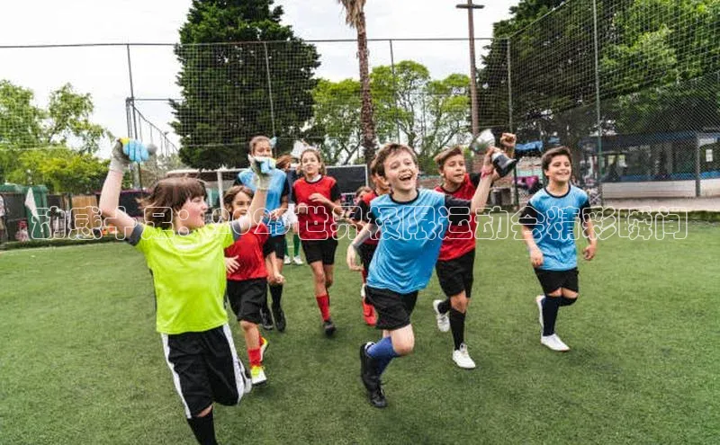 球盟会百度网盘