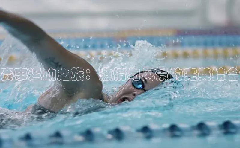 球盟会登录入口网页版