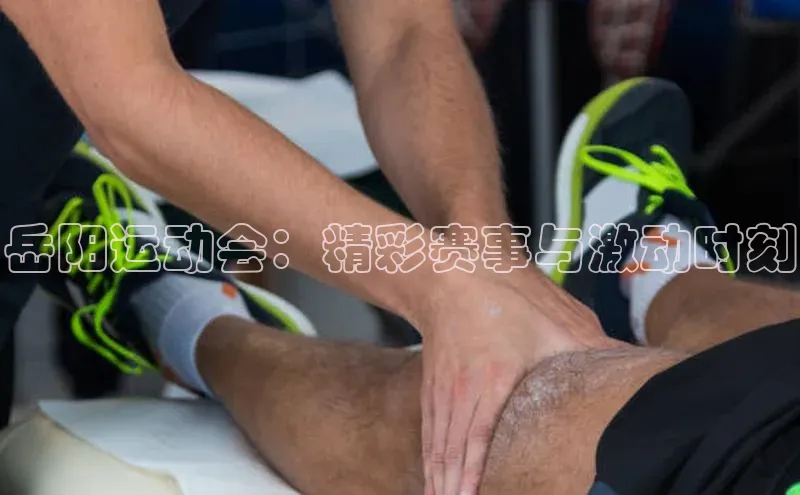 球盟会手机网页版