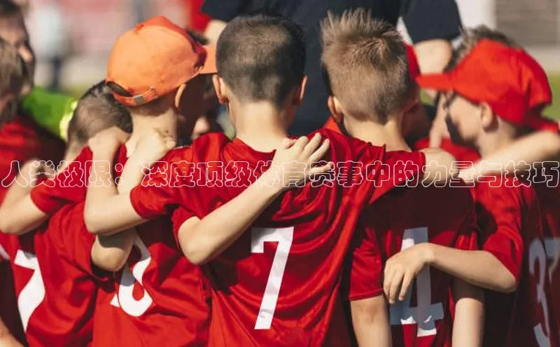 球盟会官方网入口