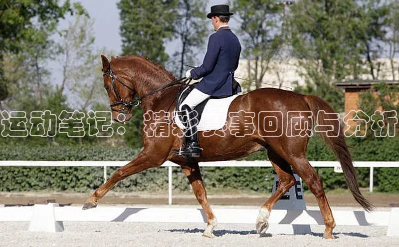 球盟会在线官网