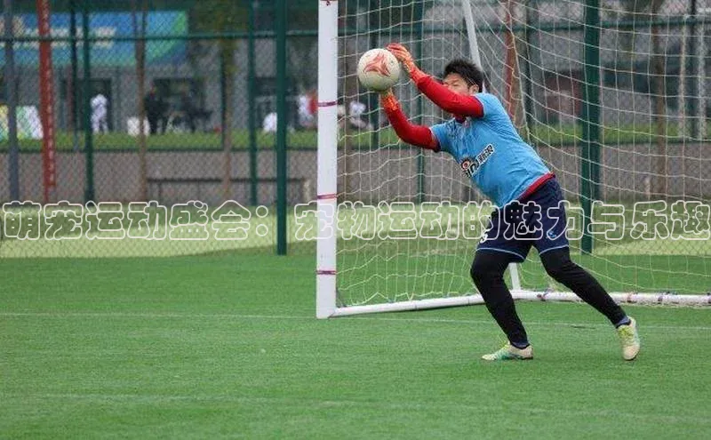 qm球盟会官方网站